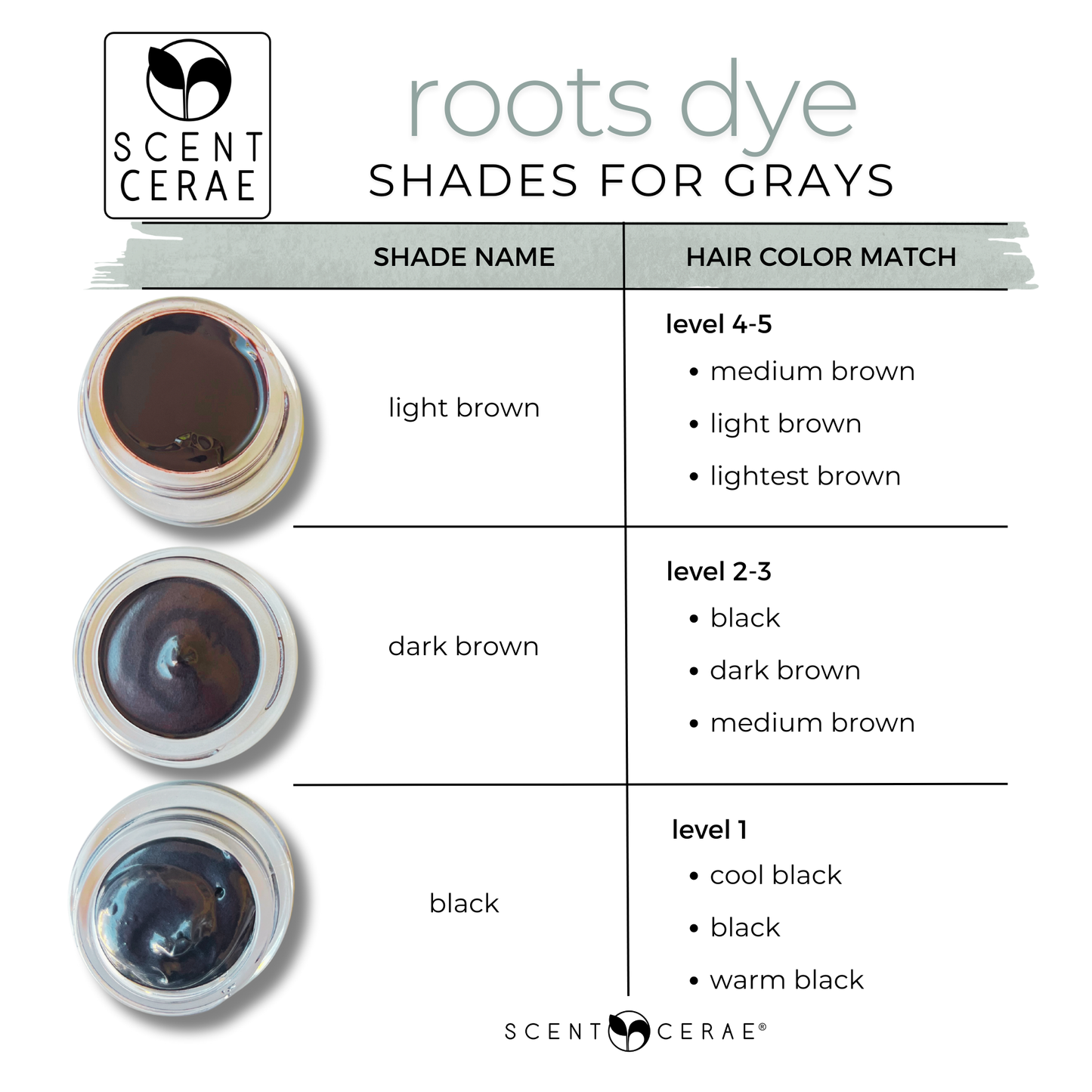 Roots Natural Gray Hair & Beard Touch-Up – Chemical-Free, Odorless, Travel-Friendly Zero Waste Dye for Dark Hair