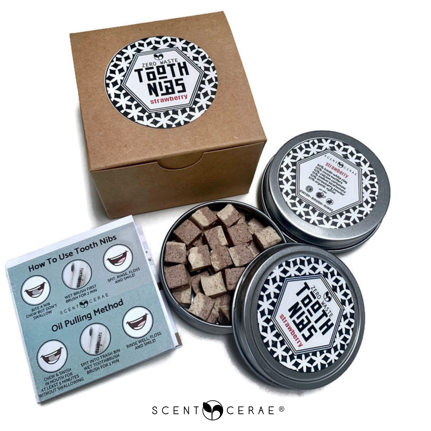 Tooth Nib Solid Toothpaste Tins and Refills